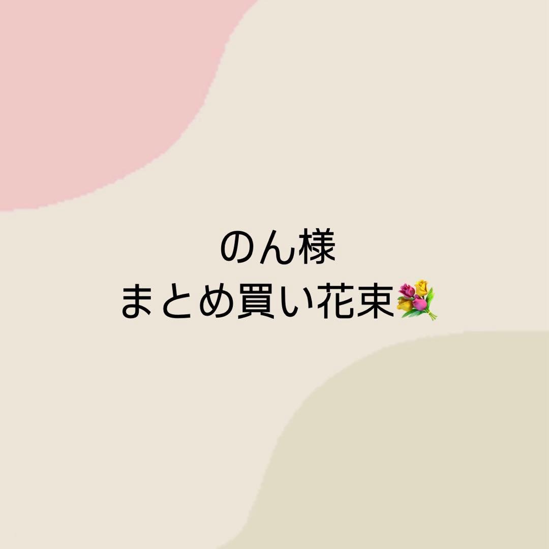 のん様 まとめ買い10点【4.13までに到着】