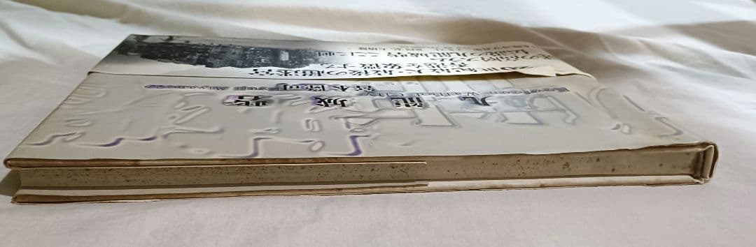 九竜城砦　宮本隆司