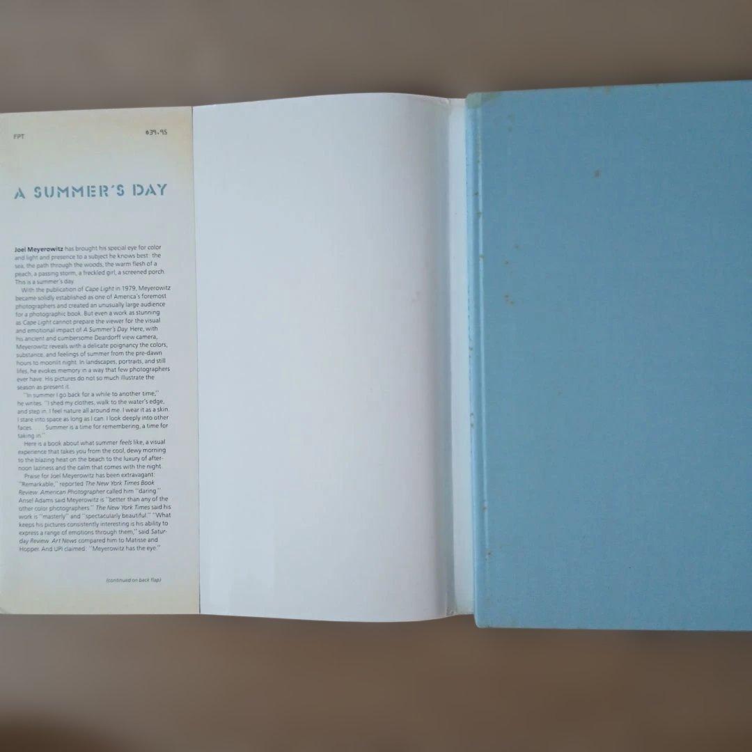 写真家ジョエル・マイヤーウィッツの作品集『A Summer's Day』(洋書)