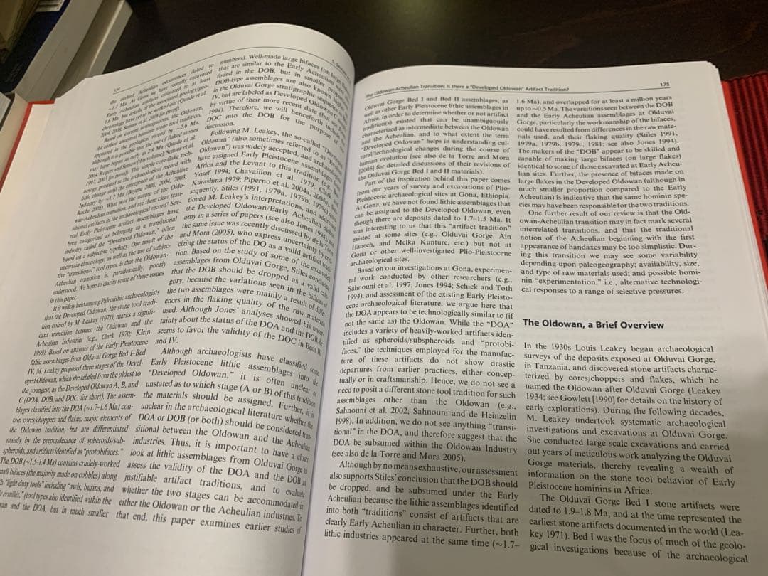 洋書 Sourcebook of Paleolithic Transitions