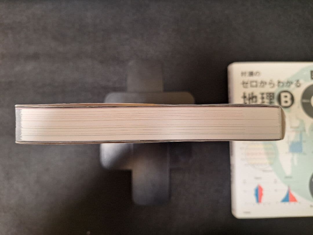 【ほぼ未使用・書き込み無し】村瀬のゼロからわかる地理B（2冊セット）