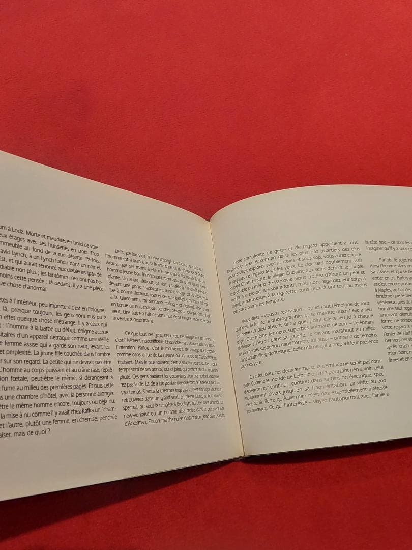 HALF LIFE Michael Ackerman 写真集 フランス語版