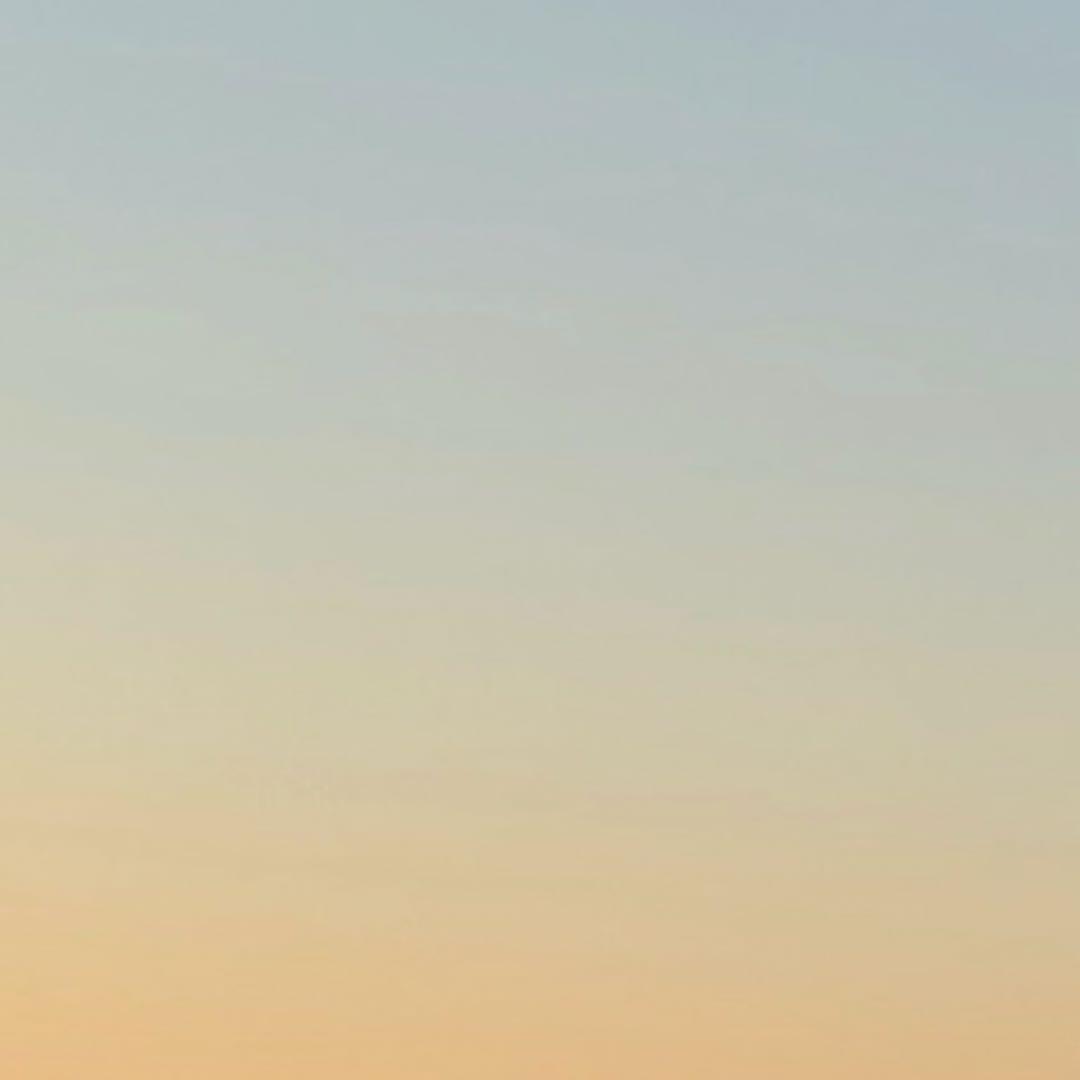 《専用》TOGA TOO L CONCHO TIE ネクタイ