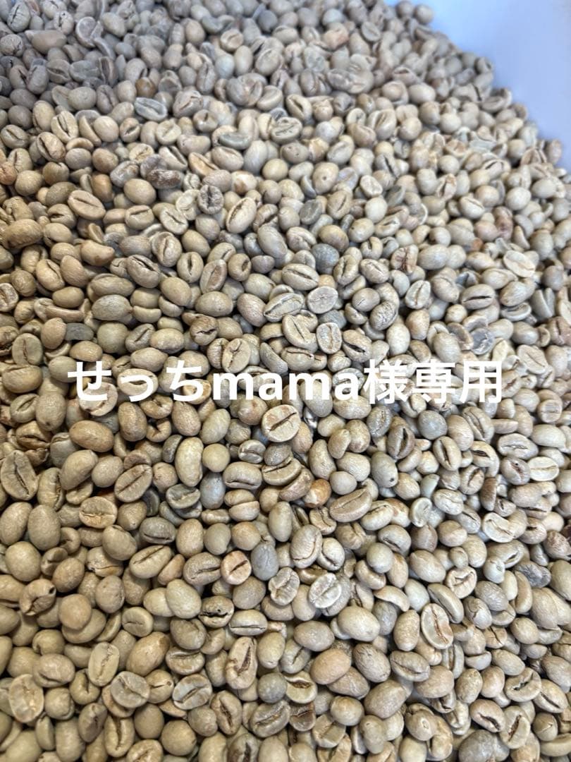 爆安!![コーヒー 生豆 ]ブラジル サントス No.2 / ナチュラル10kg