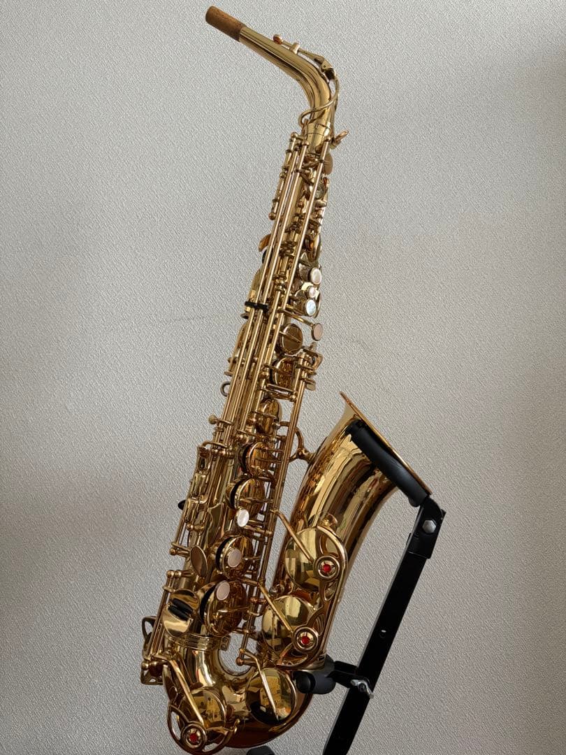ヤナギサワ アルトサックス A-900