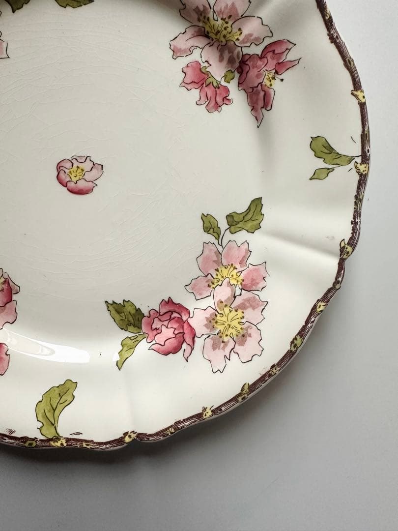 サルグミンヌ　りんごの花　フランス　アンティーク　プレート　皿　平皿