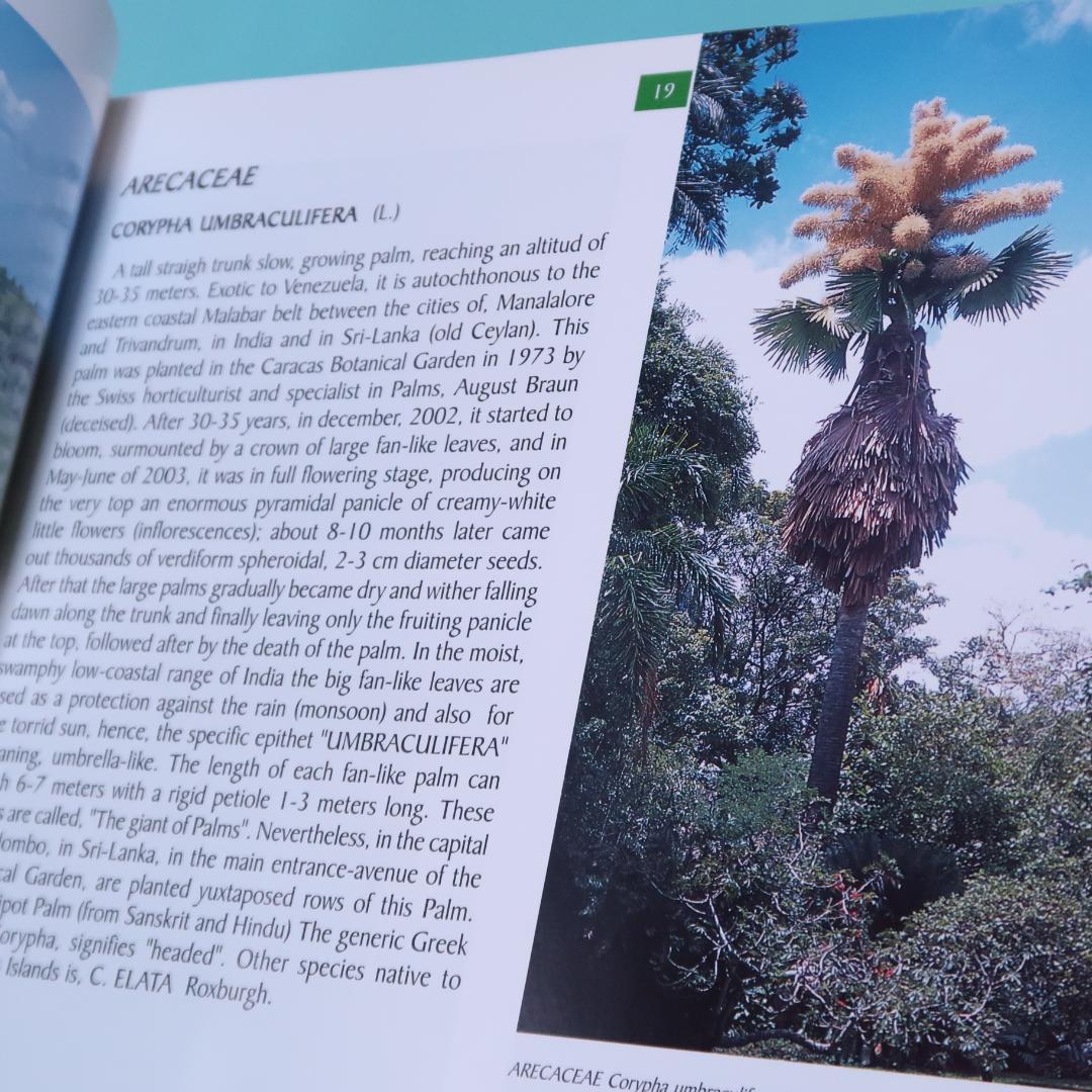 特別価格！ 洋書『ベネズエラの山岳植物、アンデスとテプイ、ブロメリア』植物図鑑