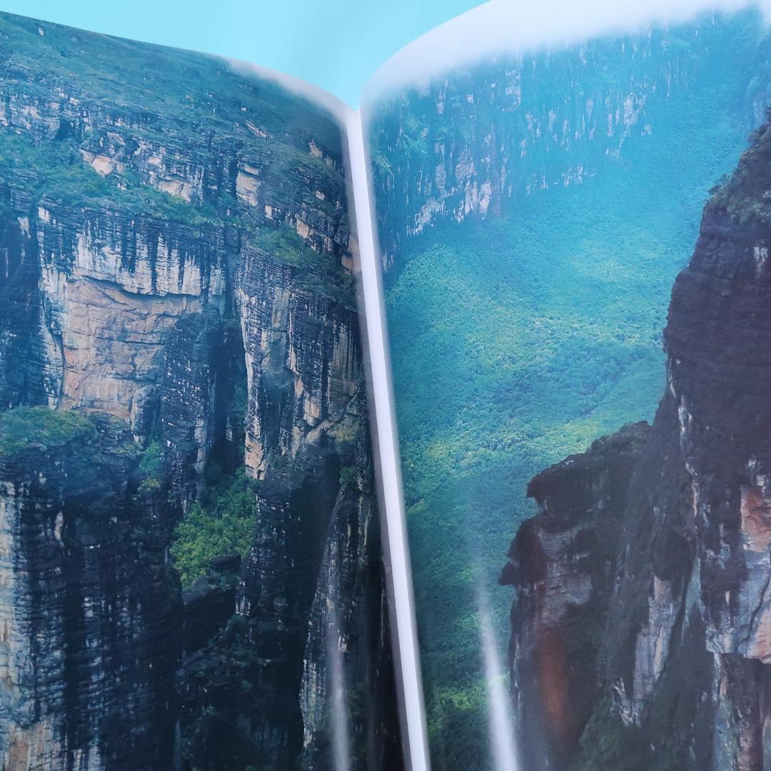 特別価格！ 洋書『ベネズエラの山岳植物、アンデスとテプイ、ブロメリア』植物図鑑