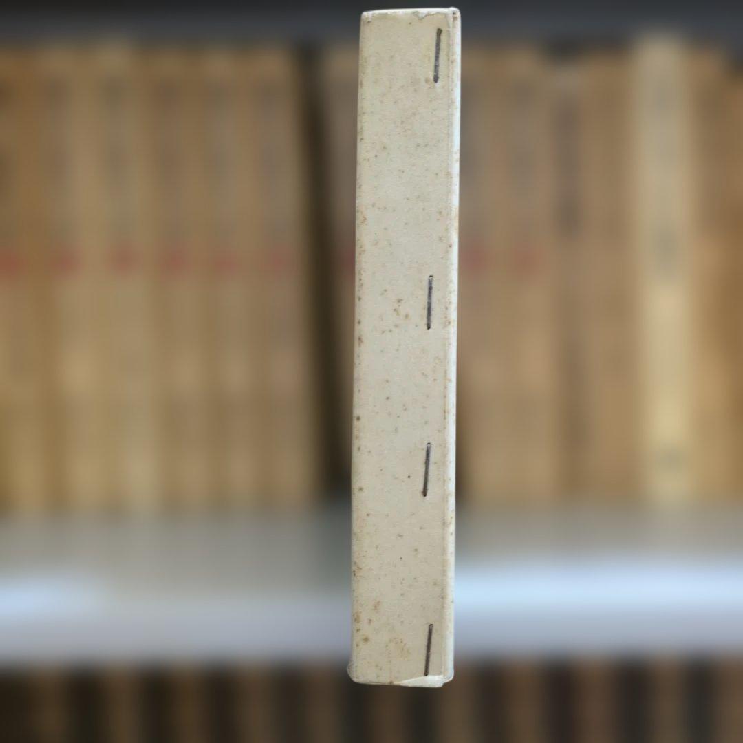 イギリスの地域開発政策 大明堂