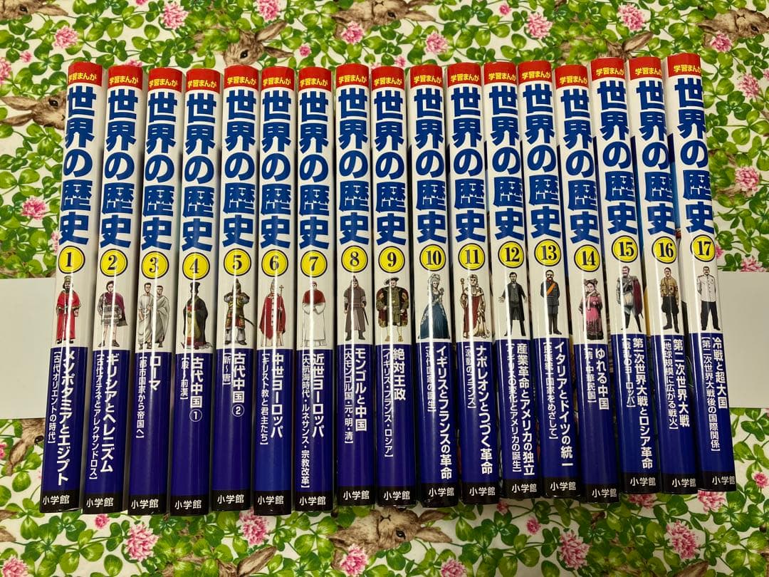 週末限定値下げ【新品同様】小学館『世界の歴史』全巻（編集協力：山川出版社）