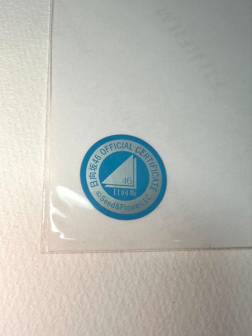 え*ん様 平尾帆夏 直筆サイン サンタ衣装 生写真 日向坂46