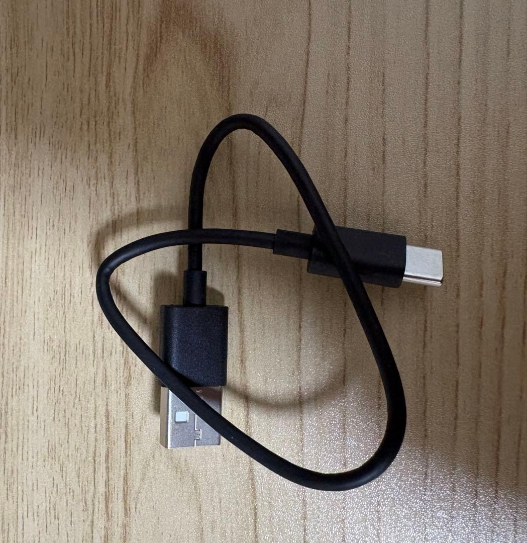 【早い者勝ち！】Victor WOOD master サンバーストブラウン