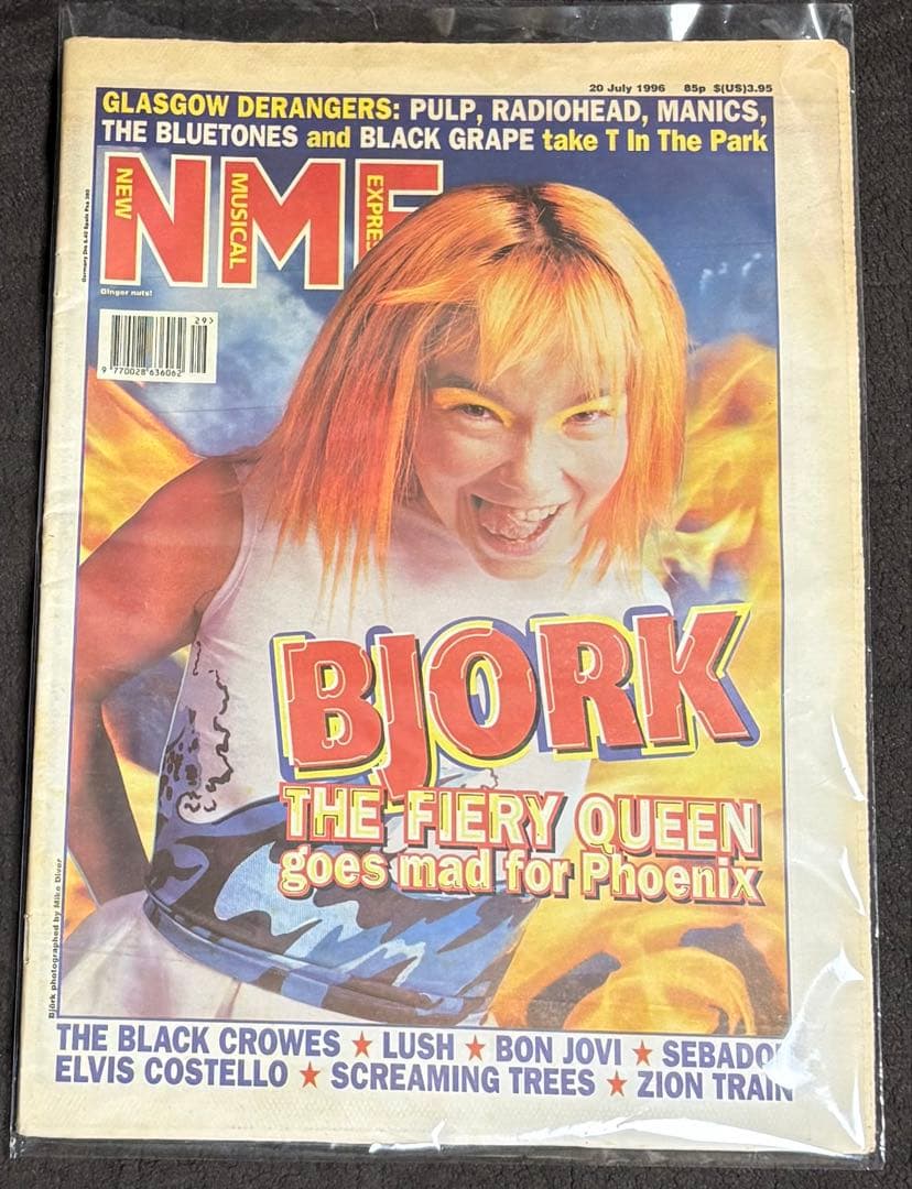 レア‼️ 1996 NME Björk Issue