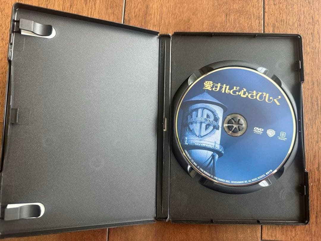 DVD 愛すれどさびしく