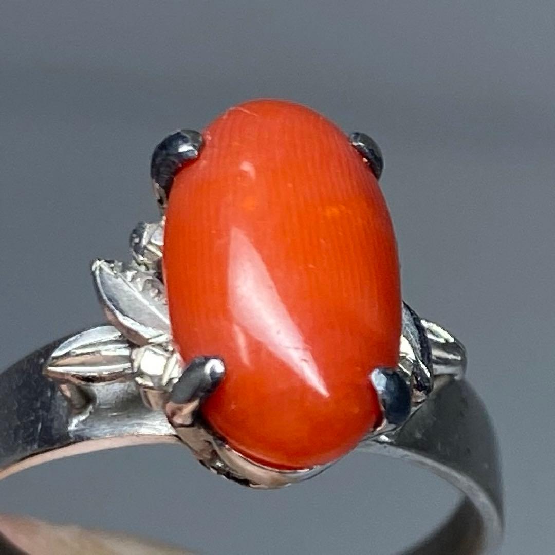 本血赤珊瑚　指輪、ネックレストップ等　15g 東Y7-0226☆2Fタカチ