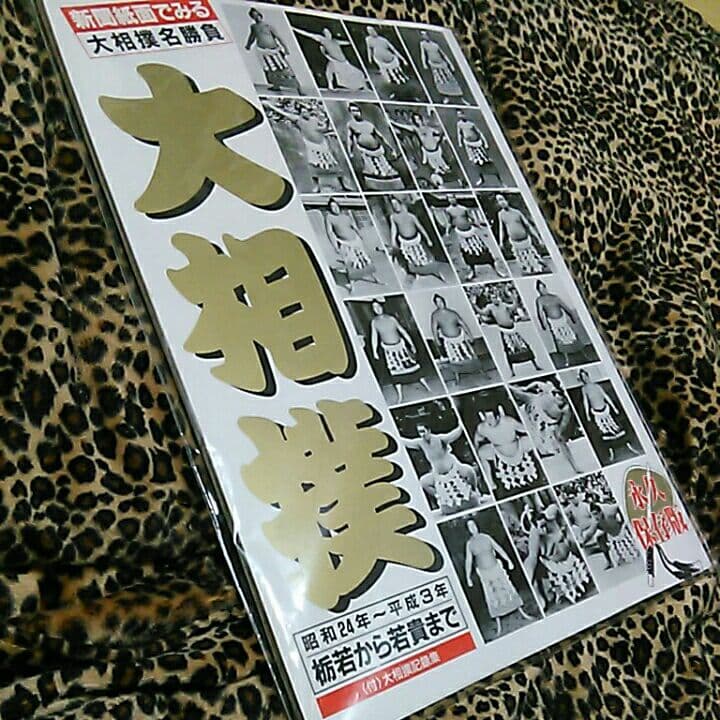 大相撲名勝負永久保存版冊子当時物栃若～若乃花貴乃花