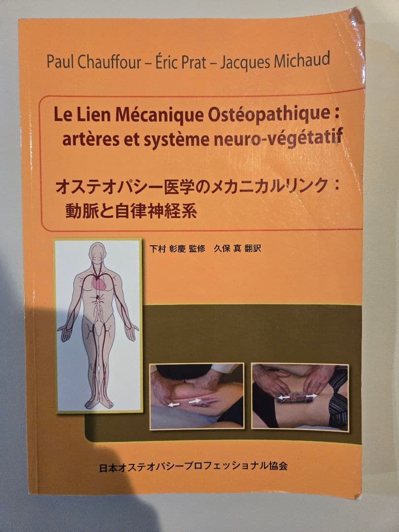 Le Lien Mécanique Ostéopathique