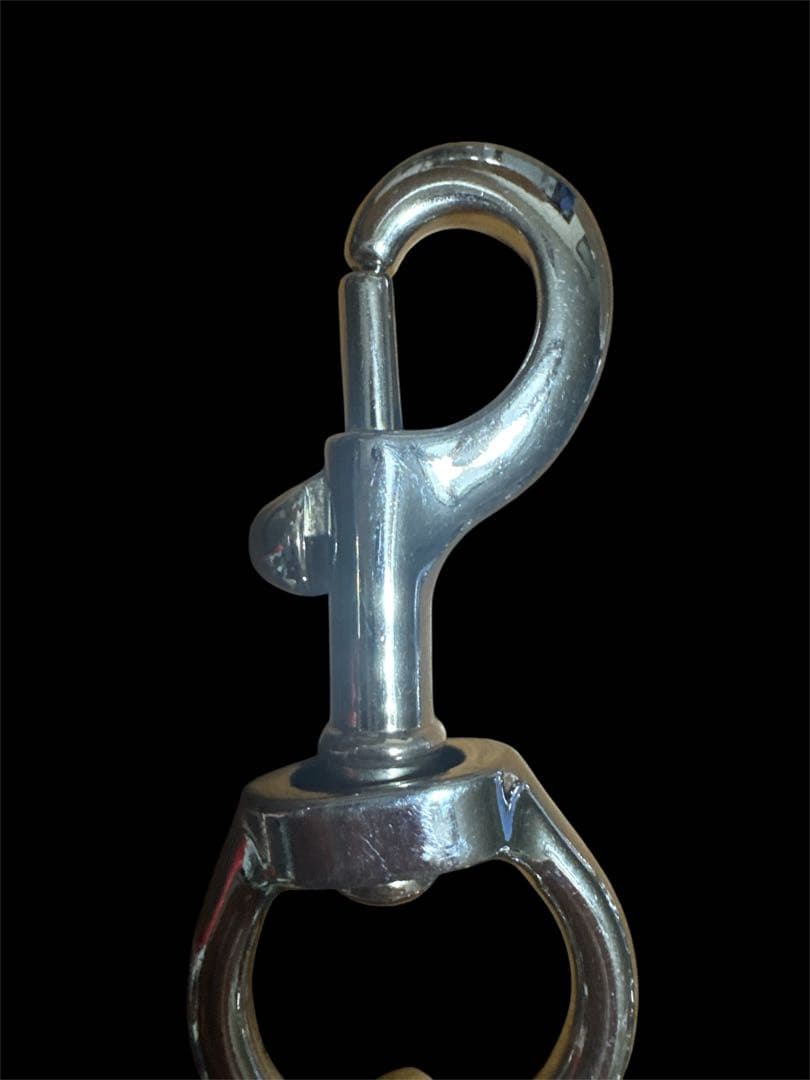 【値下げ】evisu エヴィス　カモメマーク　ウォレットチェーン 限定生産