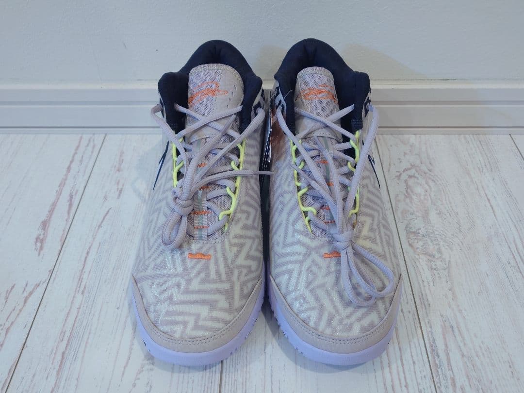 シューズ(男性用) NIKE LBJ NXXT GENISUS EP 26cm