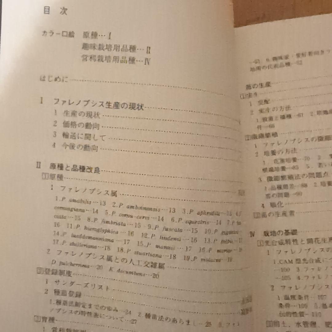 【レア】ファレノプシス （花専科・育種と栽培） 市橋正一／編著