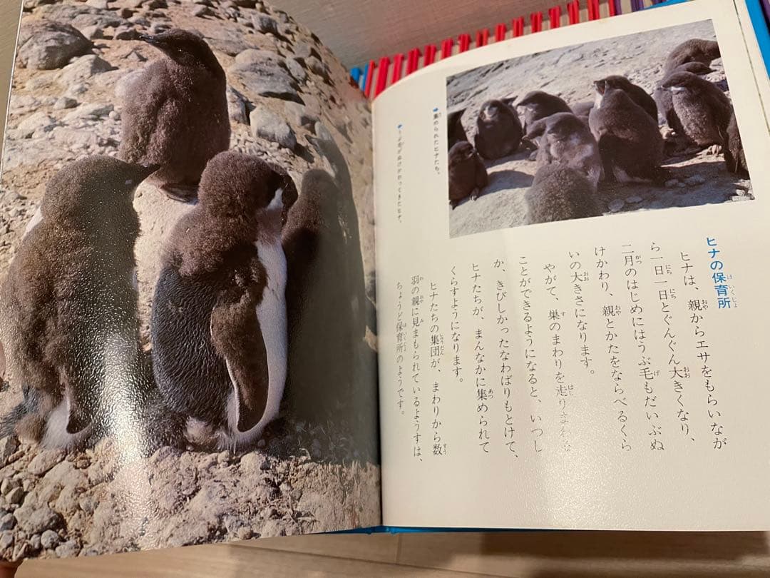 科学のアルバム　あかね書房　シリーズ　全91冊　セット販売