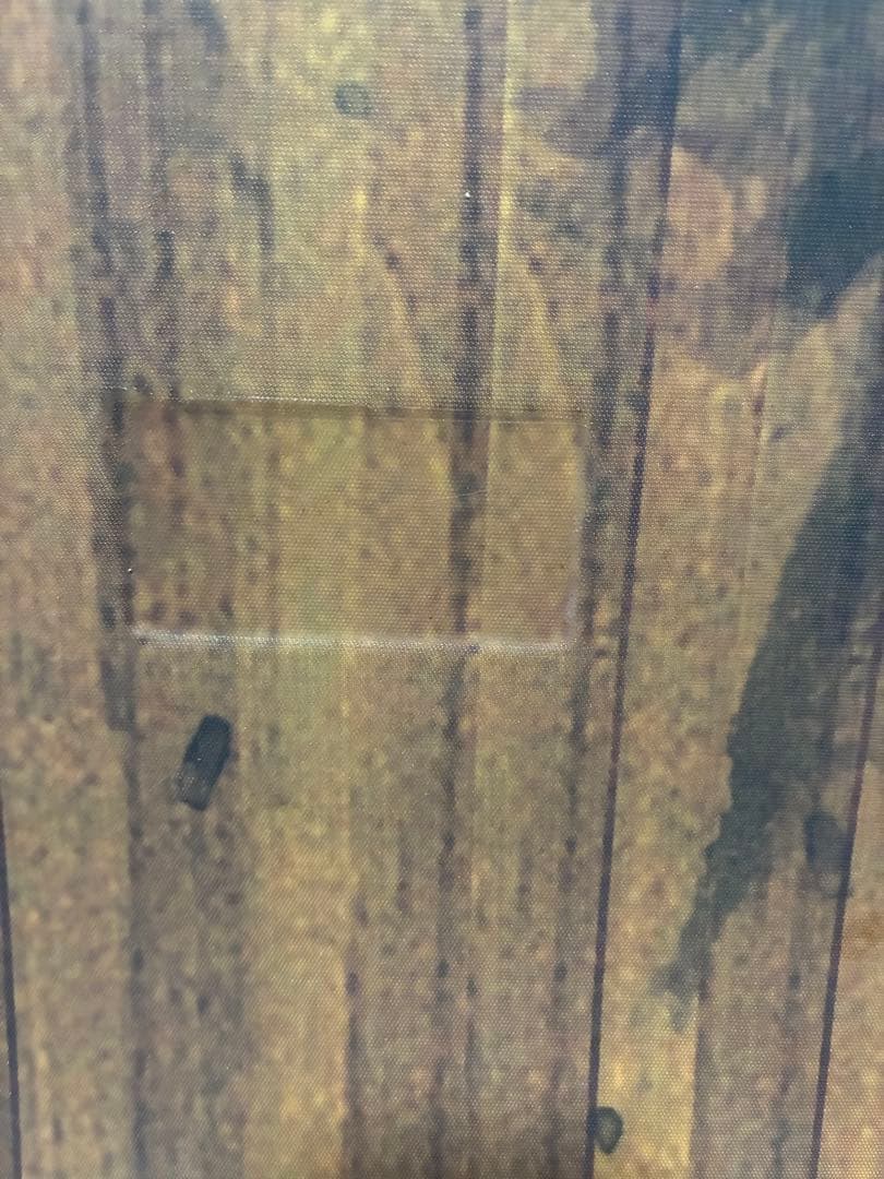 コ*ヤ様 サロモン DRIFT ROCKER 152cm スノーボード板 SAL