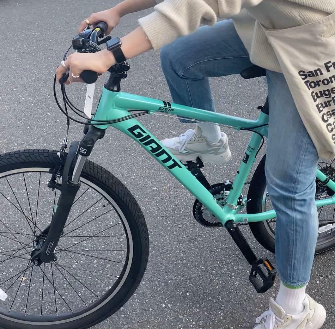 GIANT クロスバイク 美品｜2021年購入｜ほぼ未使用｜スマホスタンド付