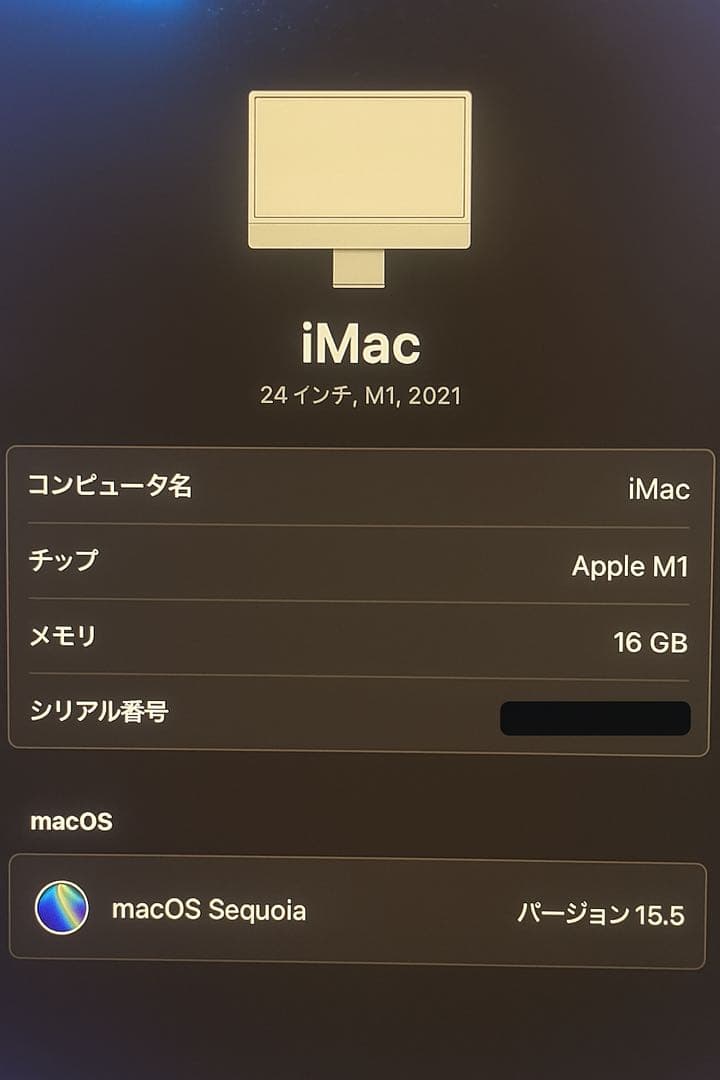 iMac(2021) M1 16GB 1TB ブルー USBハブ付き