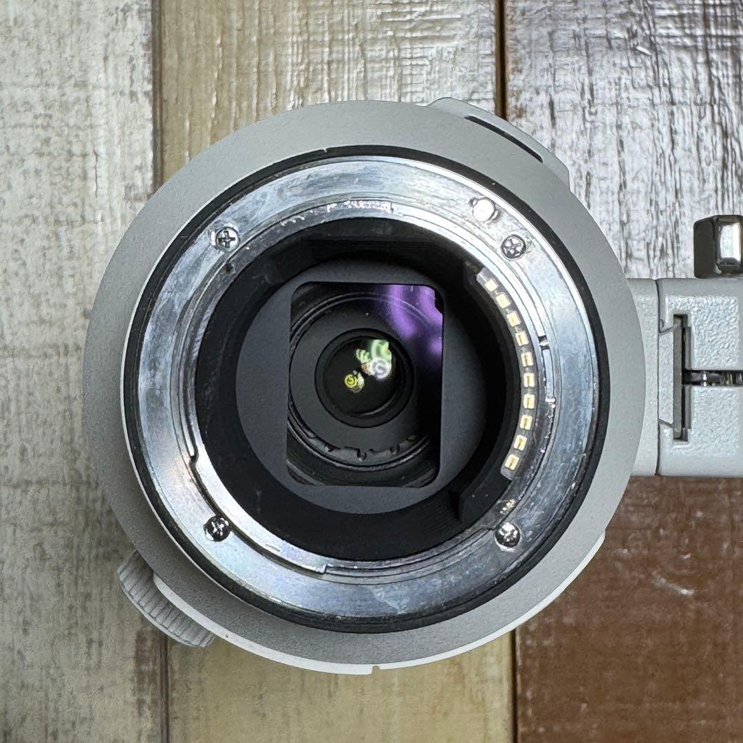 【SIMピン】Sony FE 200-600mm F5.6-6.3 G