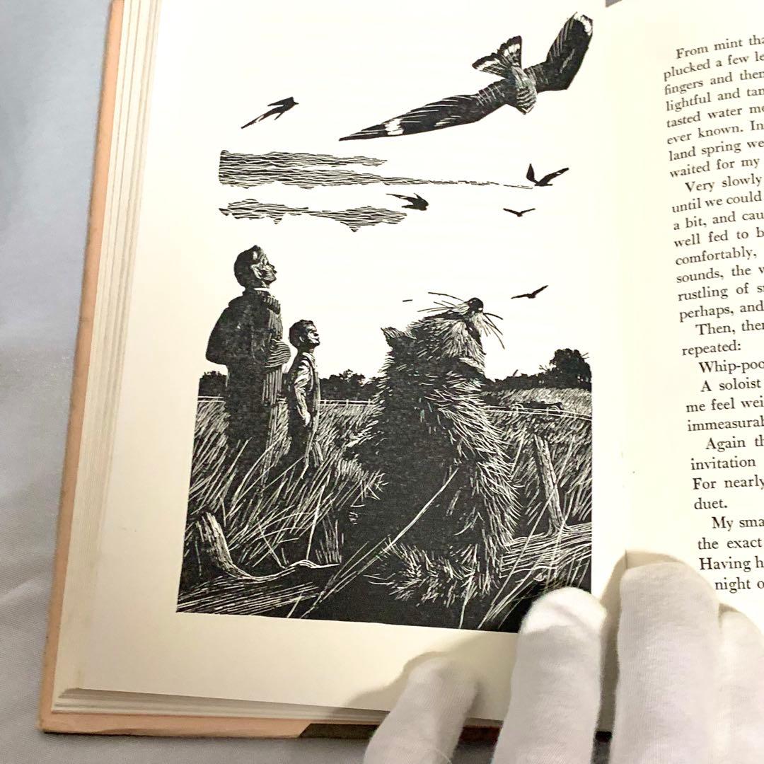 はるかなるわがラスカル 原書 RASCAL 1963年 英語版 初期刷 洋書