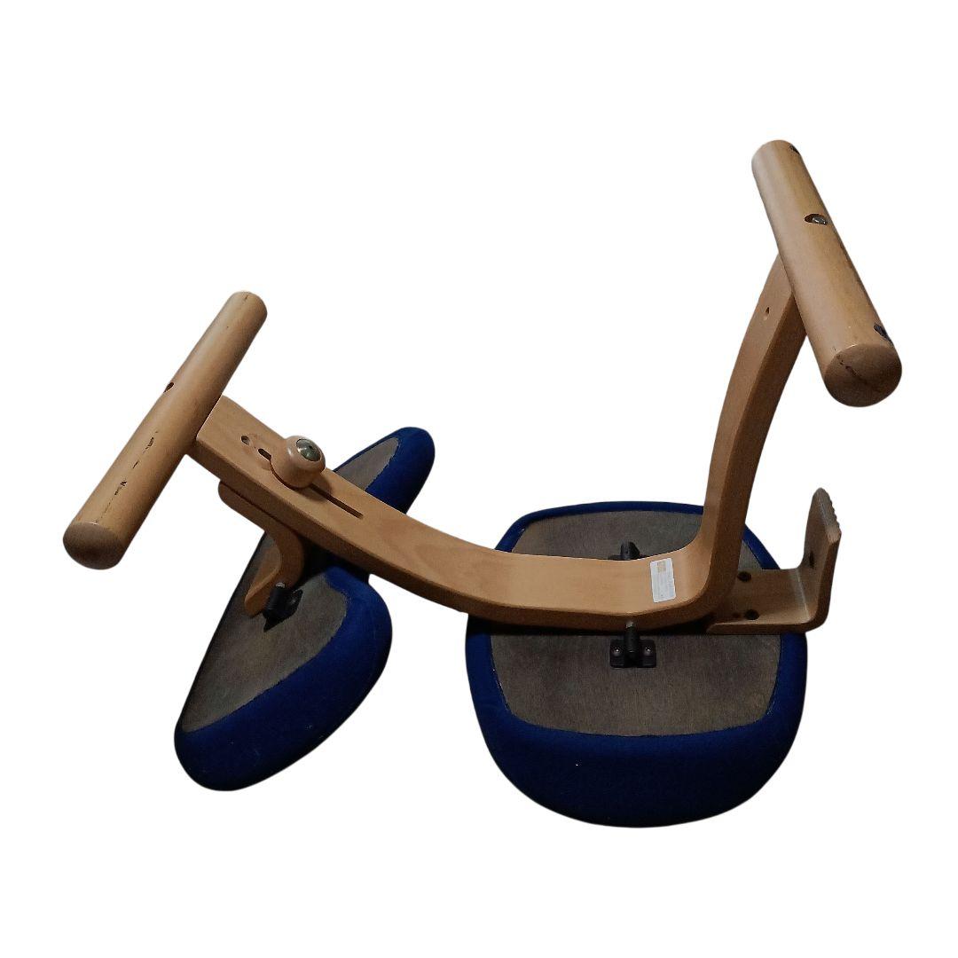 【1脚+1脚おまけ】リボ社製　バランス チェアイージー