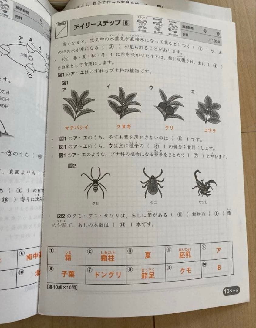 あした︎様限定　サピックス　4年　理科、社会テキストセット