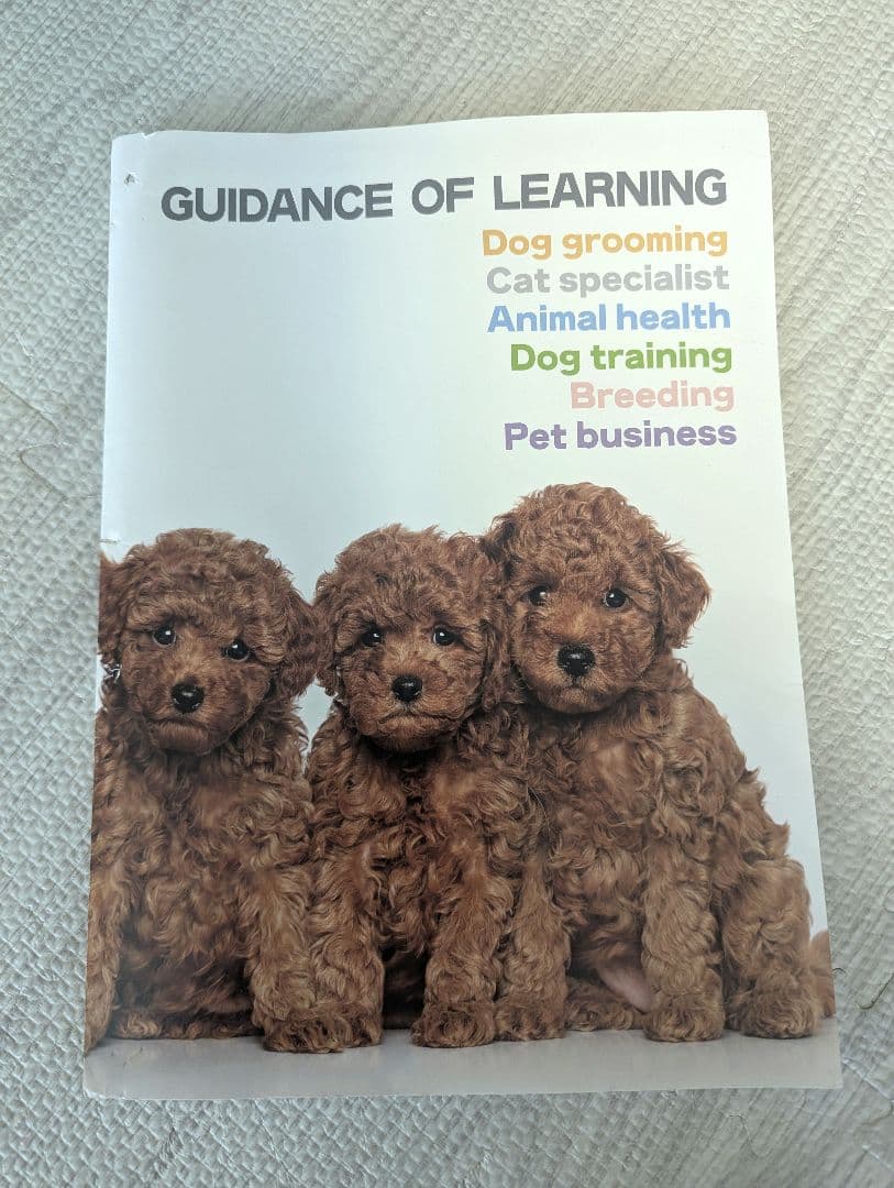 ドッグトレーナープロフェッショナル講座　ヒューマンアカデミー　テキスト DVD