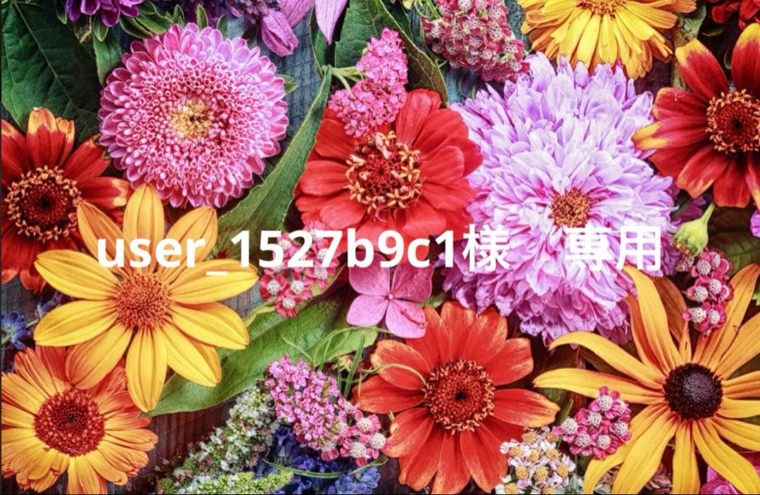 user_1527b9c1