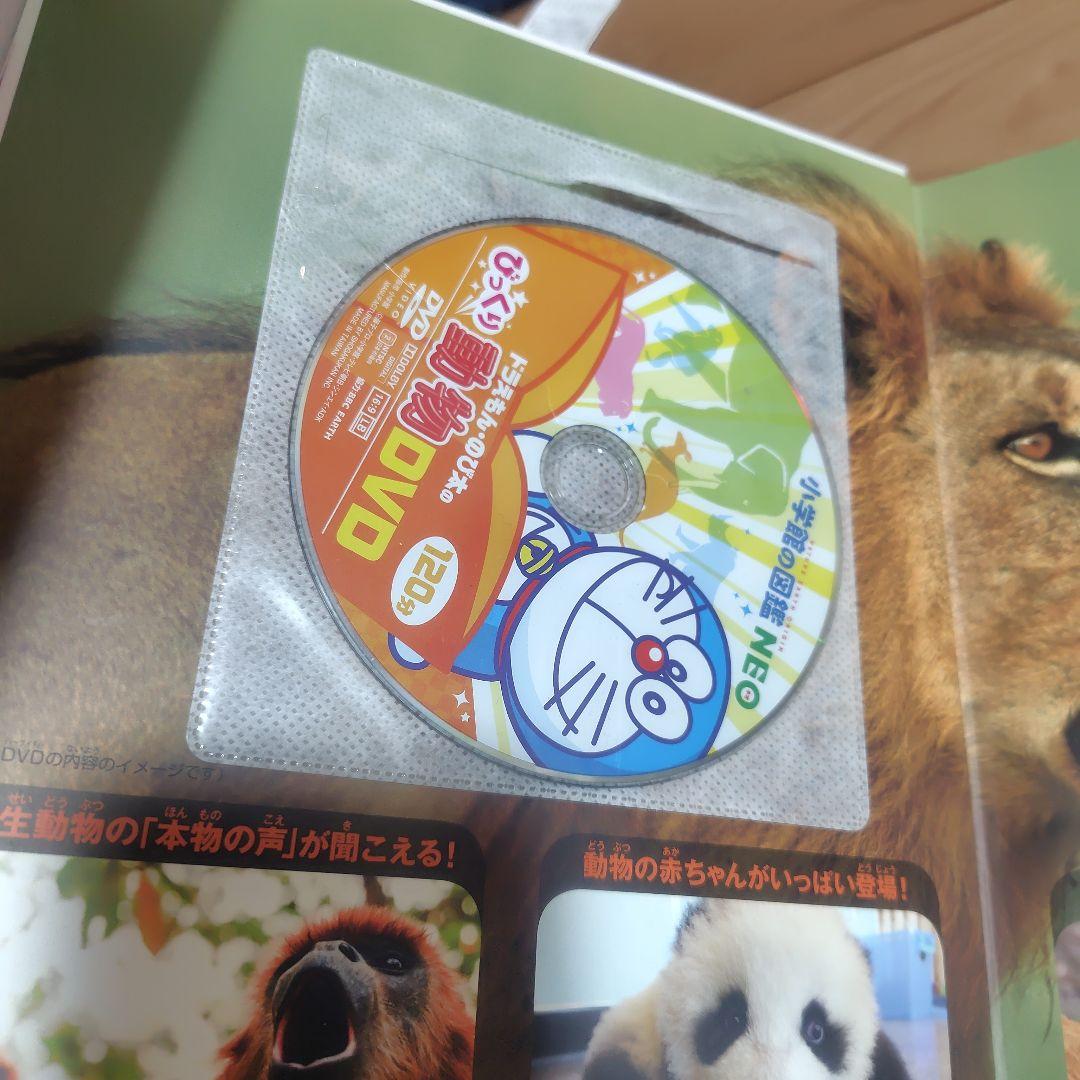 小学館の図鑑NEO 11冊セット　DVD8冊あり