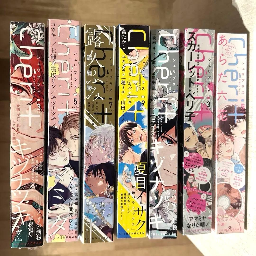 Cheri+ シェリプラス 10th mix まとめ売り