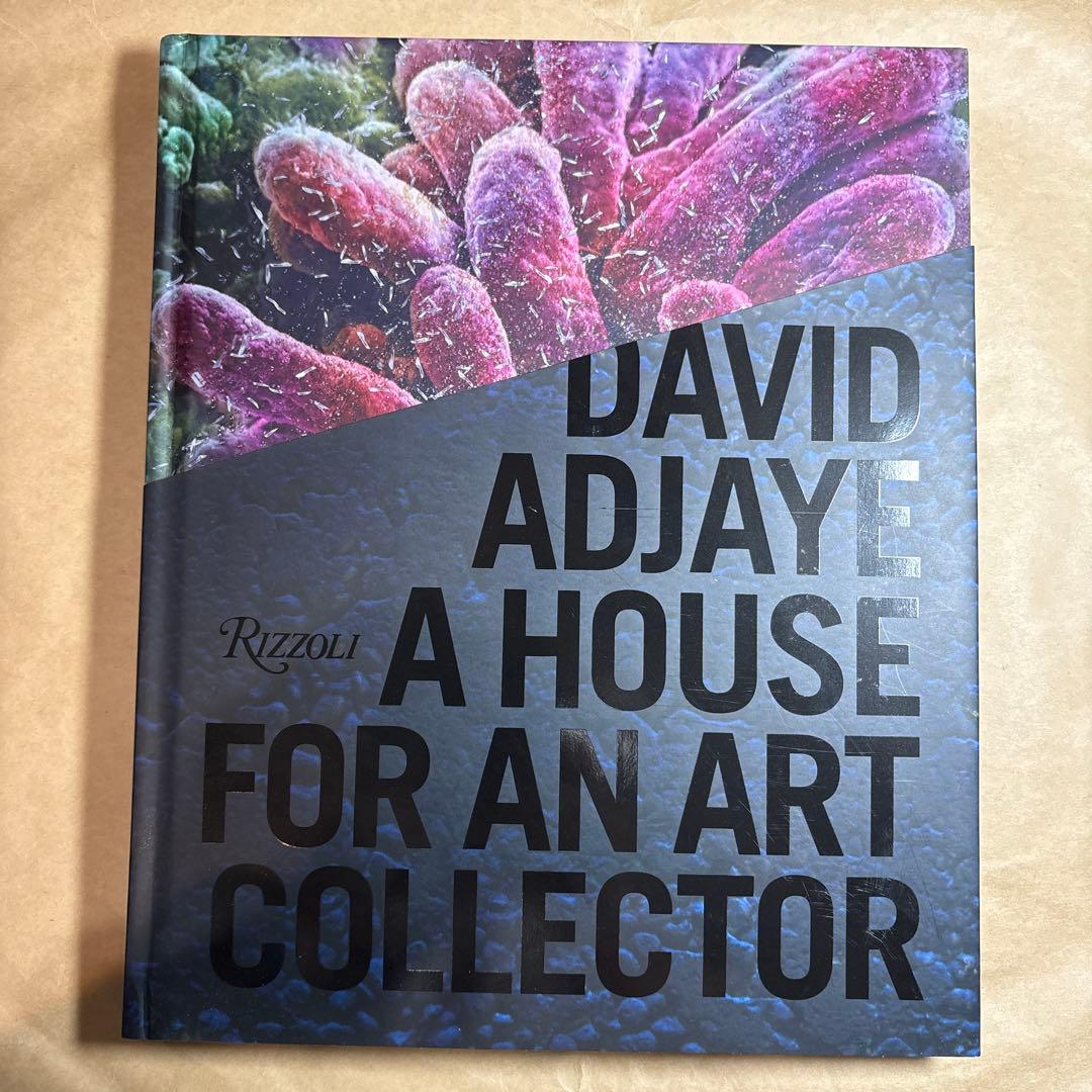洋書 David Adjaye House For An Art Collector