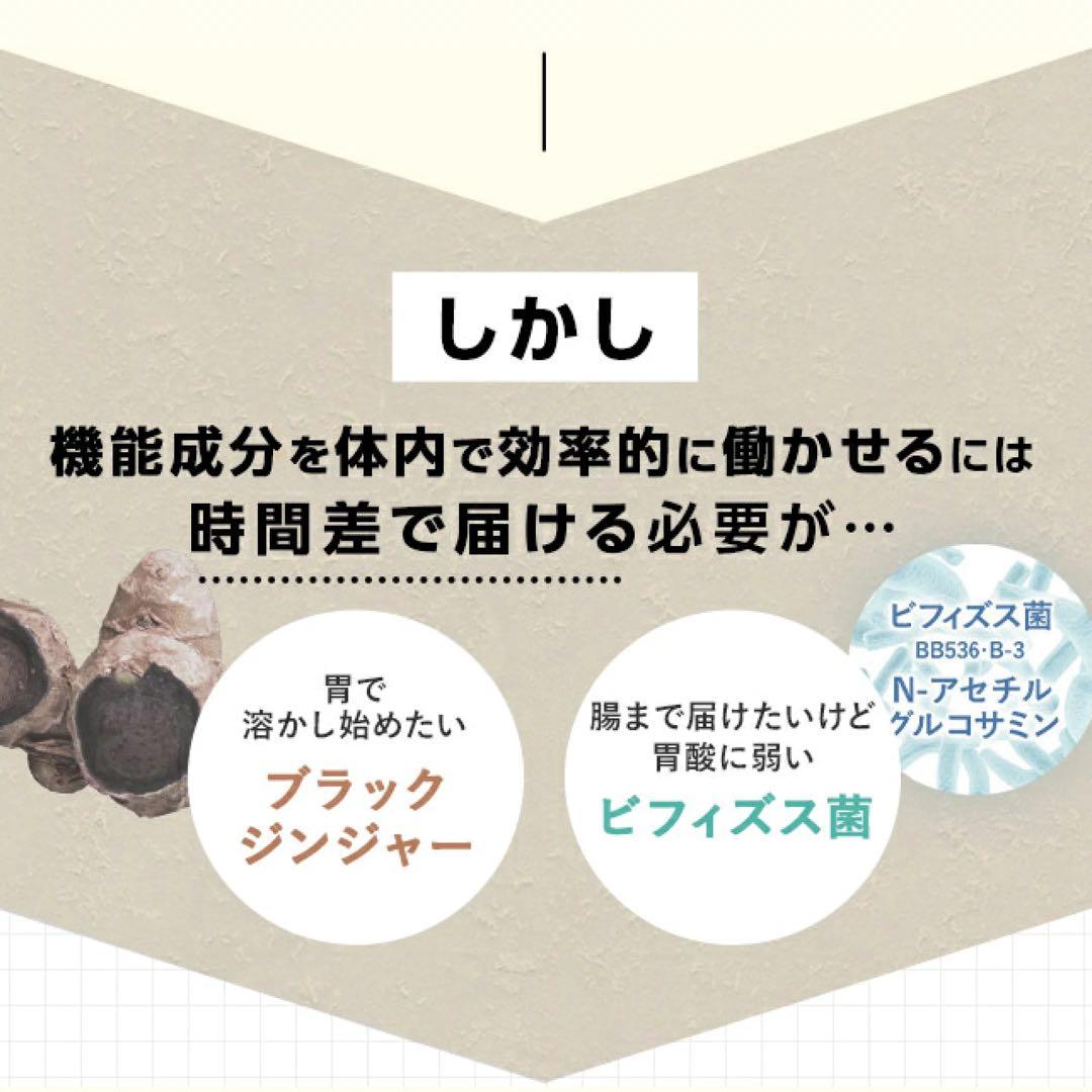 ファンケル 内脂サポート 30日分8袋〈240日分〉