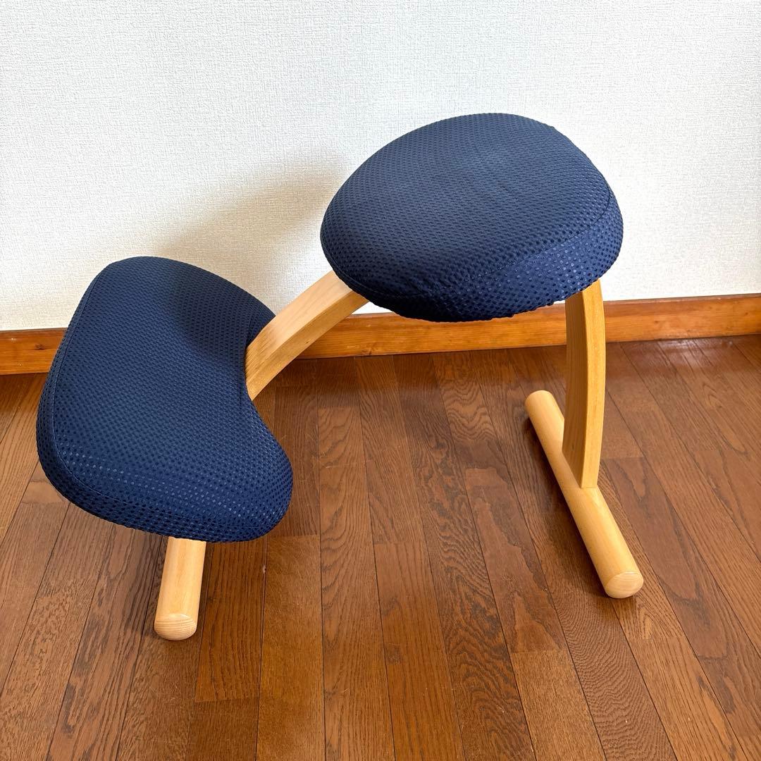 【美品】balans Easy バランスイージー ネイビー 通常フレーム