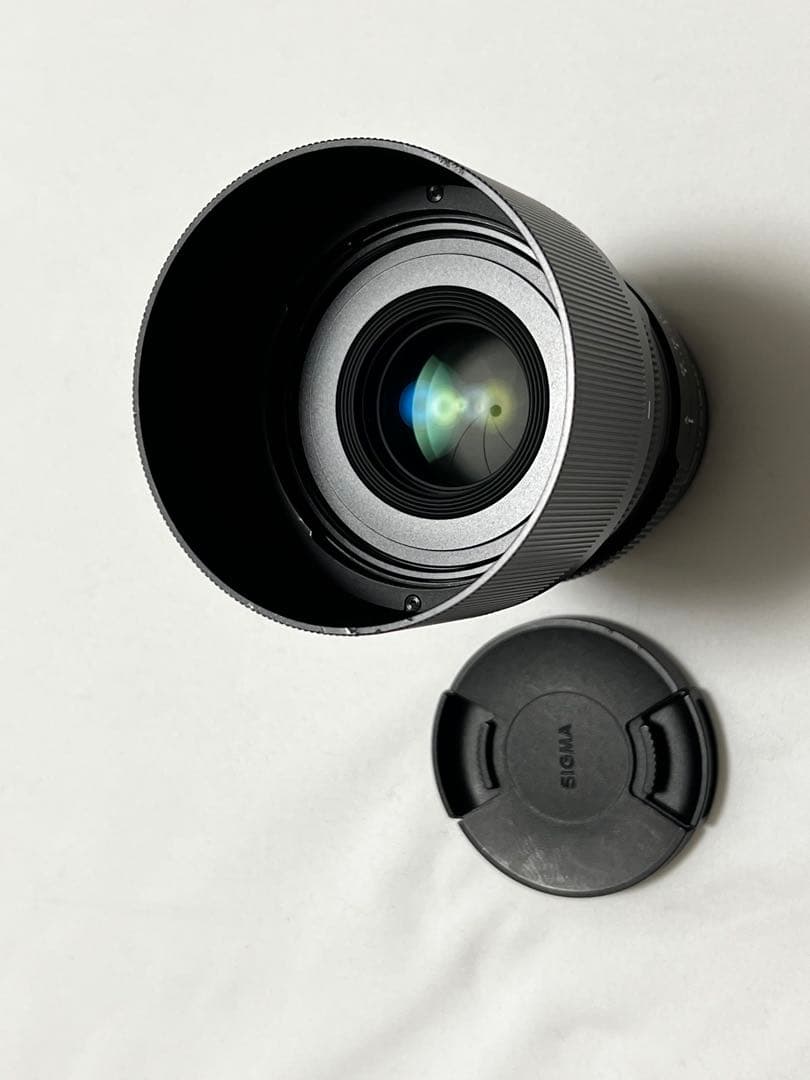 sigma 65mm f2 DG DN Sony Eマウント 作例有