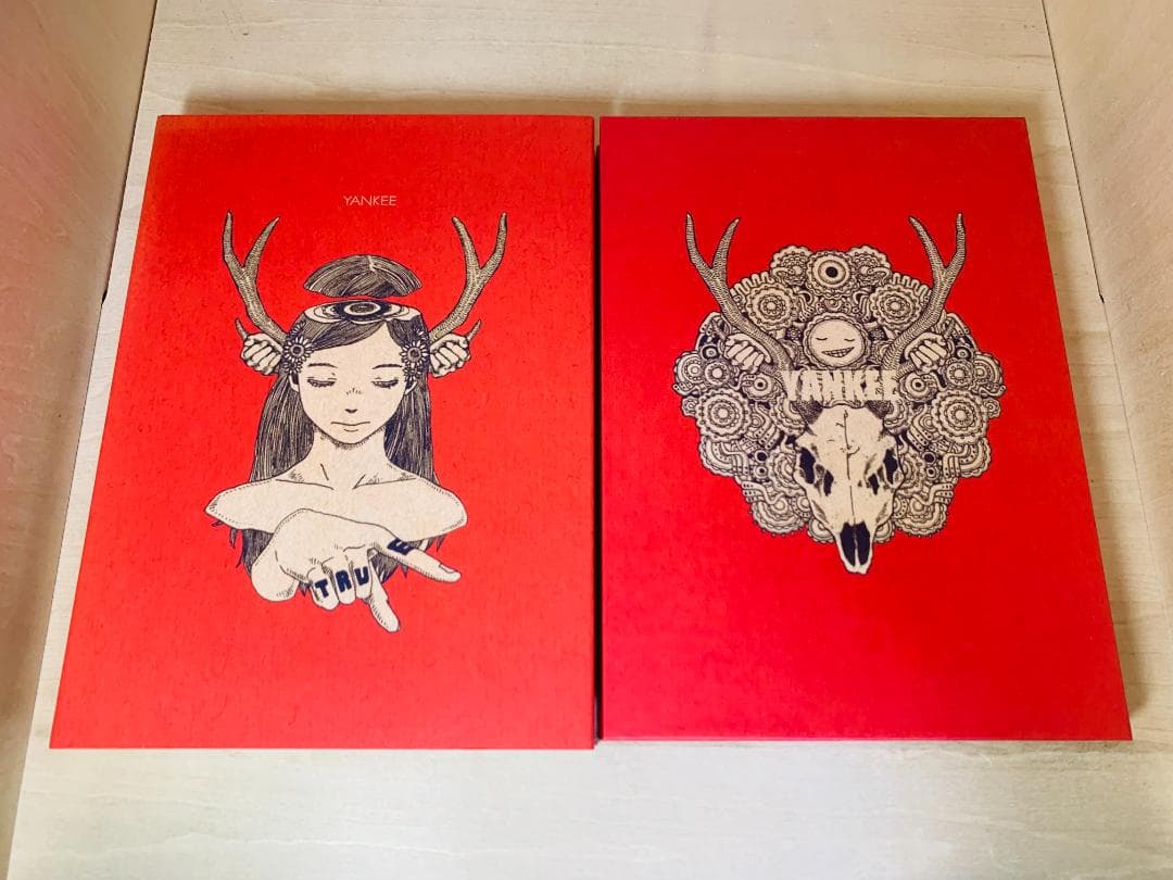 【正規品】 米津玄師 YANKEE 初回限定 画集盤 (CD+画集)