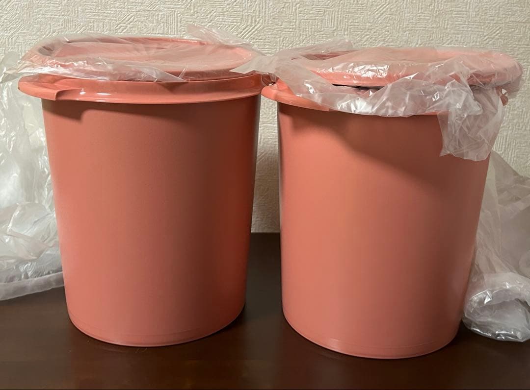 【新品】タッパーウェア　マキシデコレーター　5.5リットル　2個セット