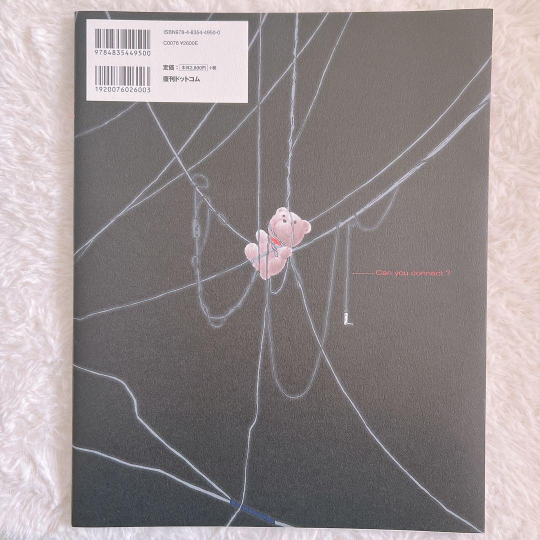 ビジュアルエクスペリメンツレイン　書籍2冊セット