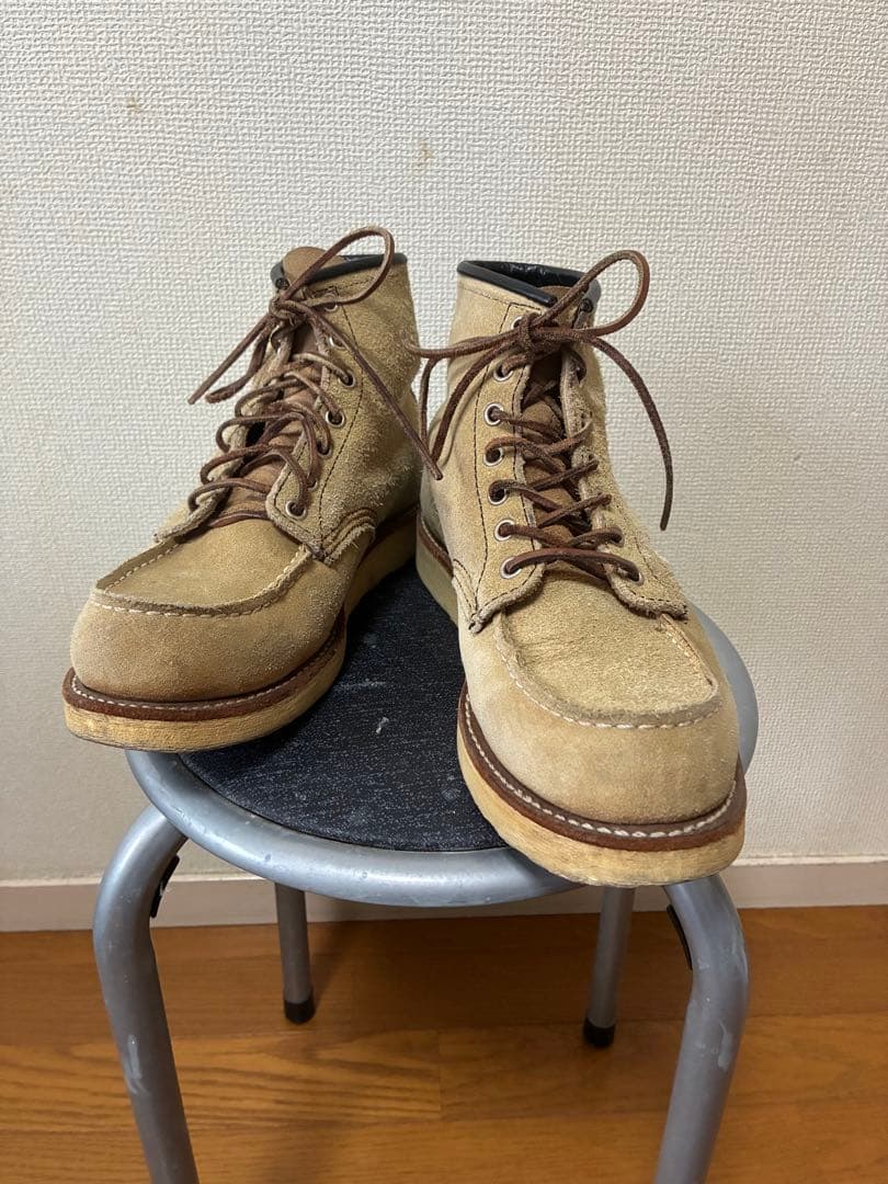 レッドウイング　アイリッシュセッター　8173 7.5d