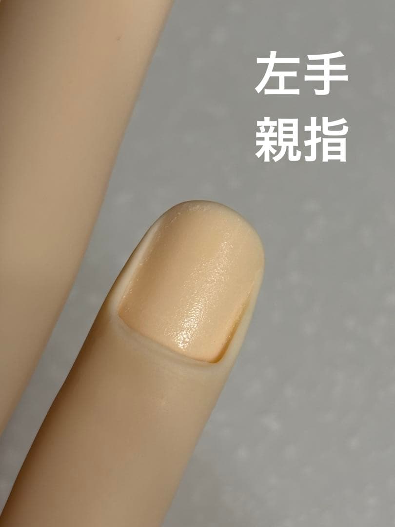 STモデルハンド右手&左手 ネイリスト技能検定試験用 JNEC認定モデルハンド