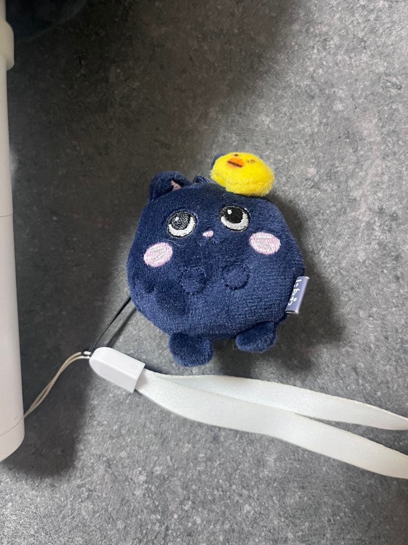 RIIZE ウォンビン トニャンドク ペンライトカバー キーチェーン セット