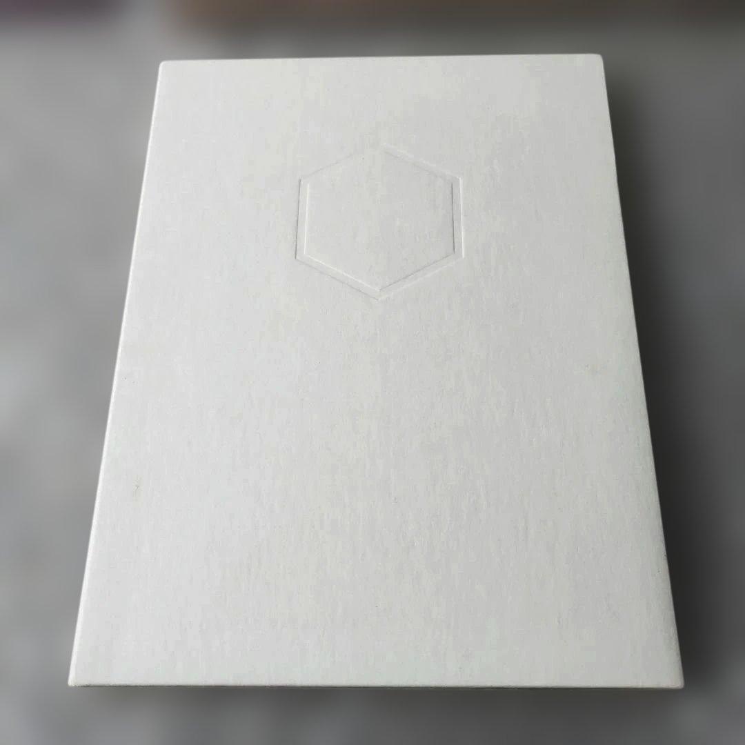 女王蜂『白兵戦』DVD　ライブ