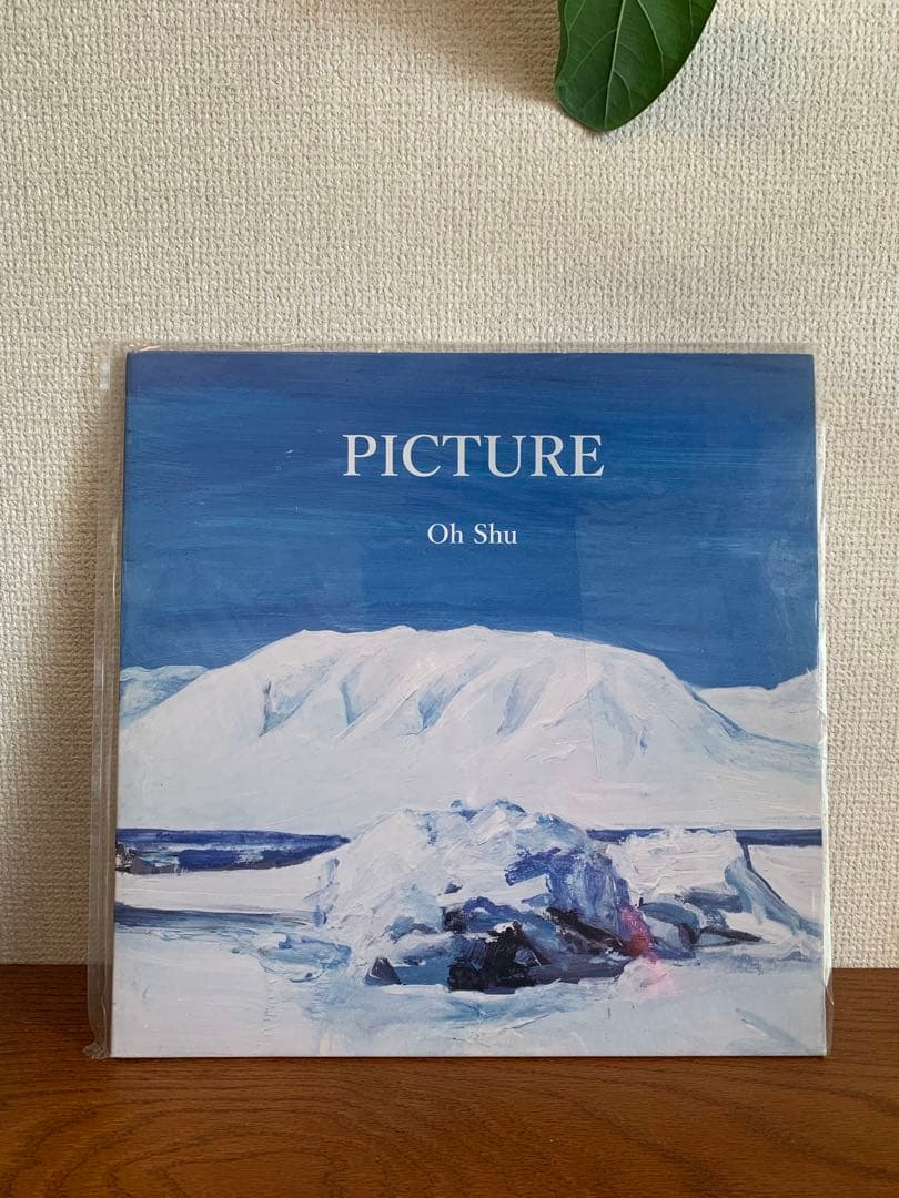Oh Shu PICTURE レコード