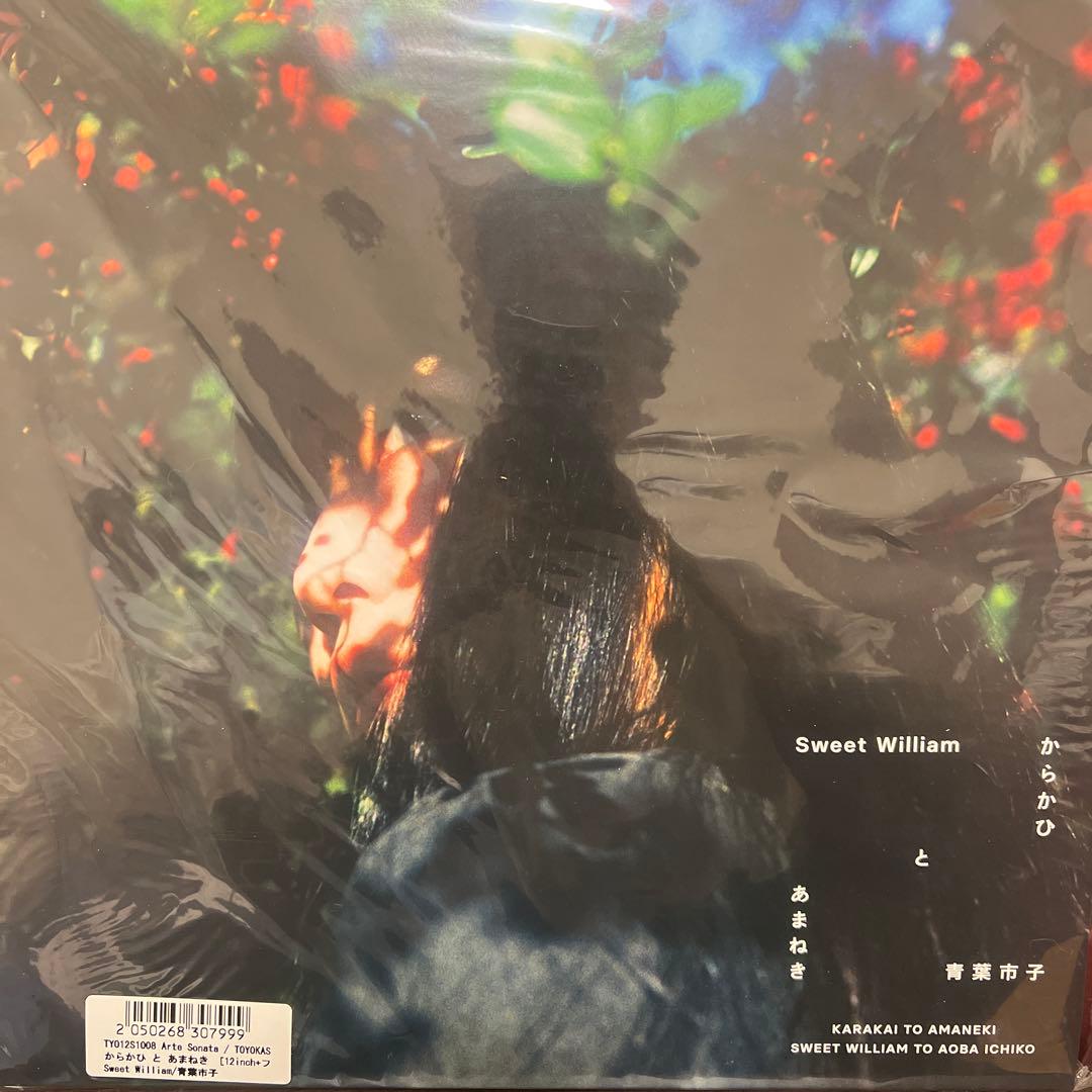 からかひ と あまねき12\