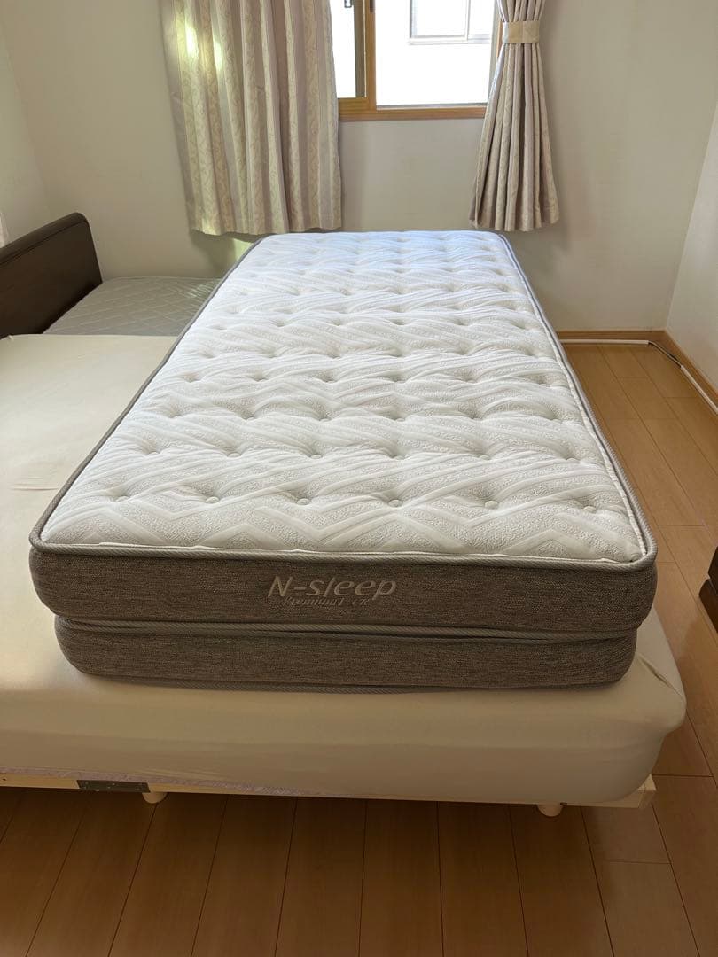 引取限定　N-sleepプレミアム P1-02CR VB